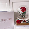 Forever Rose Dome - Grand - Forever Fleurs