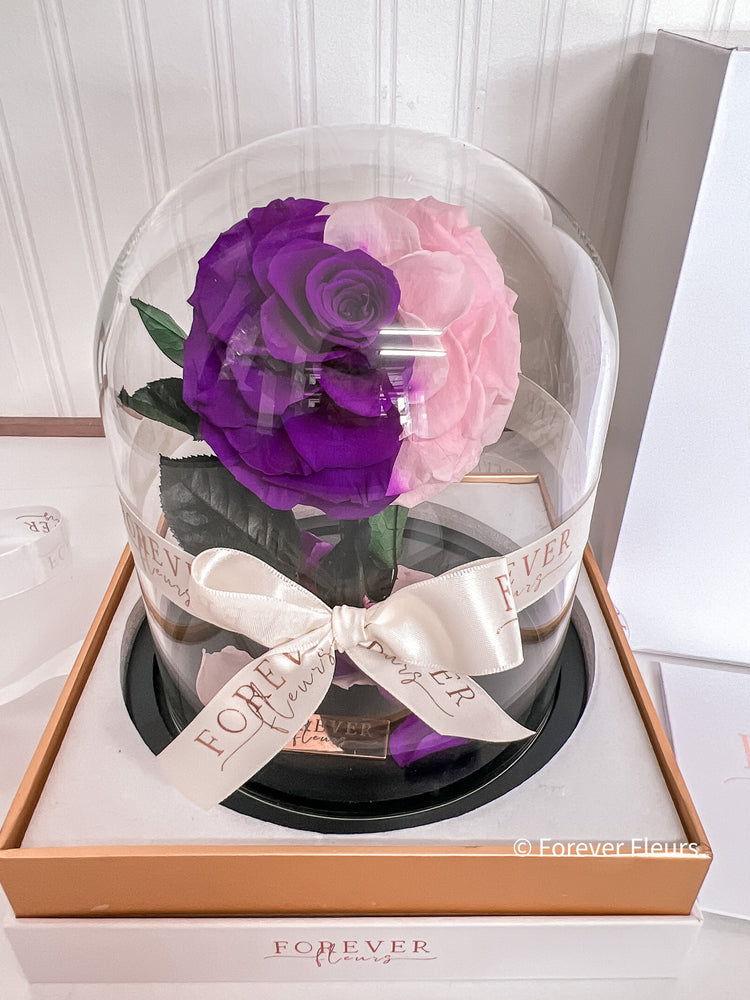 New Midi Everlasting Rose - Pink and Purple - Forever Fleurs