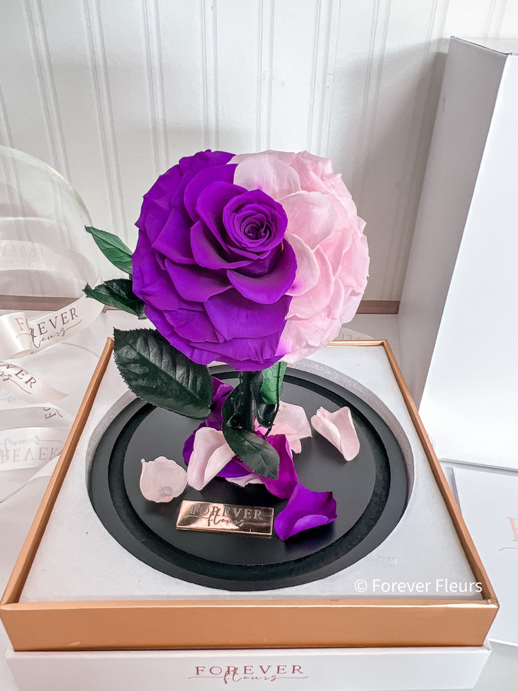 New Midi Everlasting Rose - Pink and Purple - Forever Fleurs