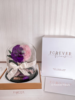 New Midi Everlasting Rose - Pink and Purple - Forever Fleurs