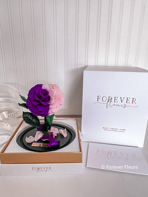 New Midi Everlasting Rose - Pink and Purple - Forever Fleurs