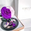 New Midi Everlasting Rose - Pink and Purple - Forever Fleurs