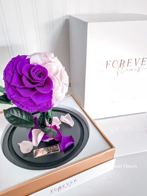 New Midi Everlasting Rose - Pink and Purple - Forever Fleurs