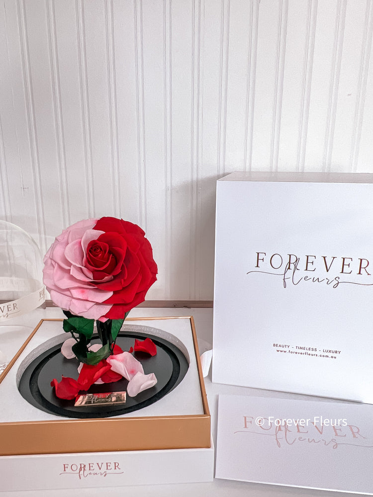 New Midi Everlasting Rose - Red and Pink - Forever Fleurs