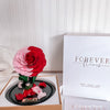 New Midi Everlasting Rose - Red and Pink - Forever Fleurs