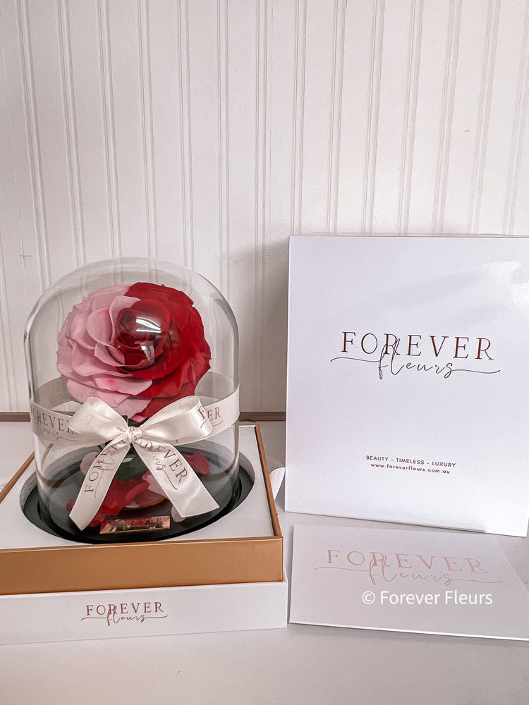 New Midi Everlasting Rose - Red and Pink - Forever Fleurs